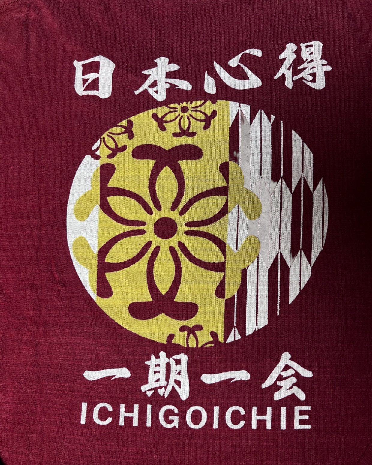 ICHIGOICHIE Japanese KANJI design t-shirts Vintage